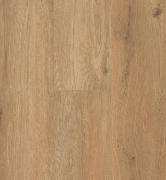 Gyant XL Warm Natural